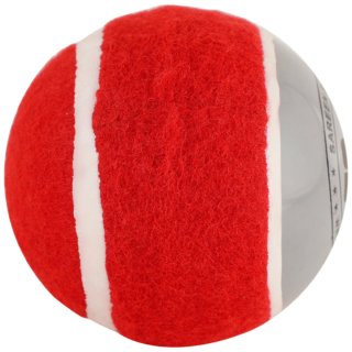 SS Swing Cricket Ball - Magnus Cricket