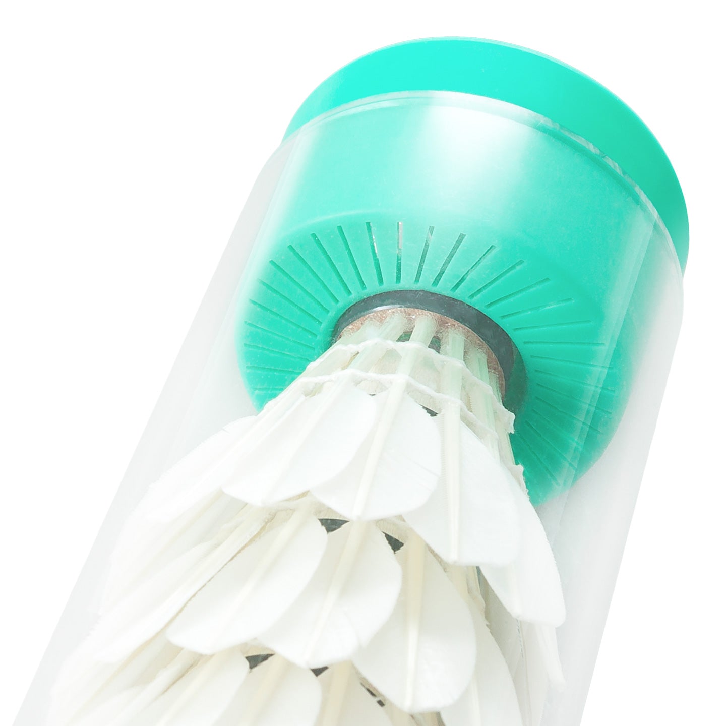Humidome