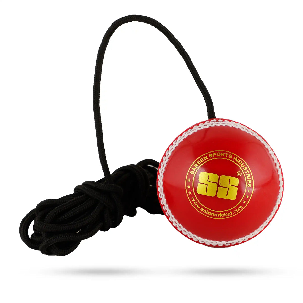 SS Hanging Balls