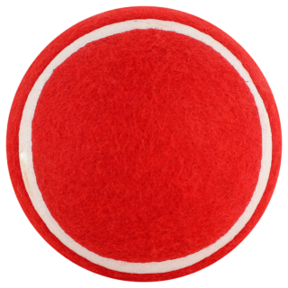 SS Swing Cricket Ball - Magnus Cricket